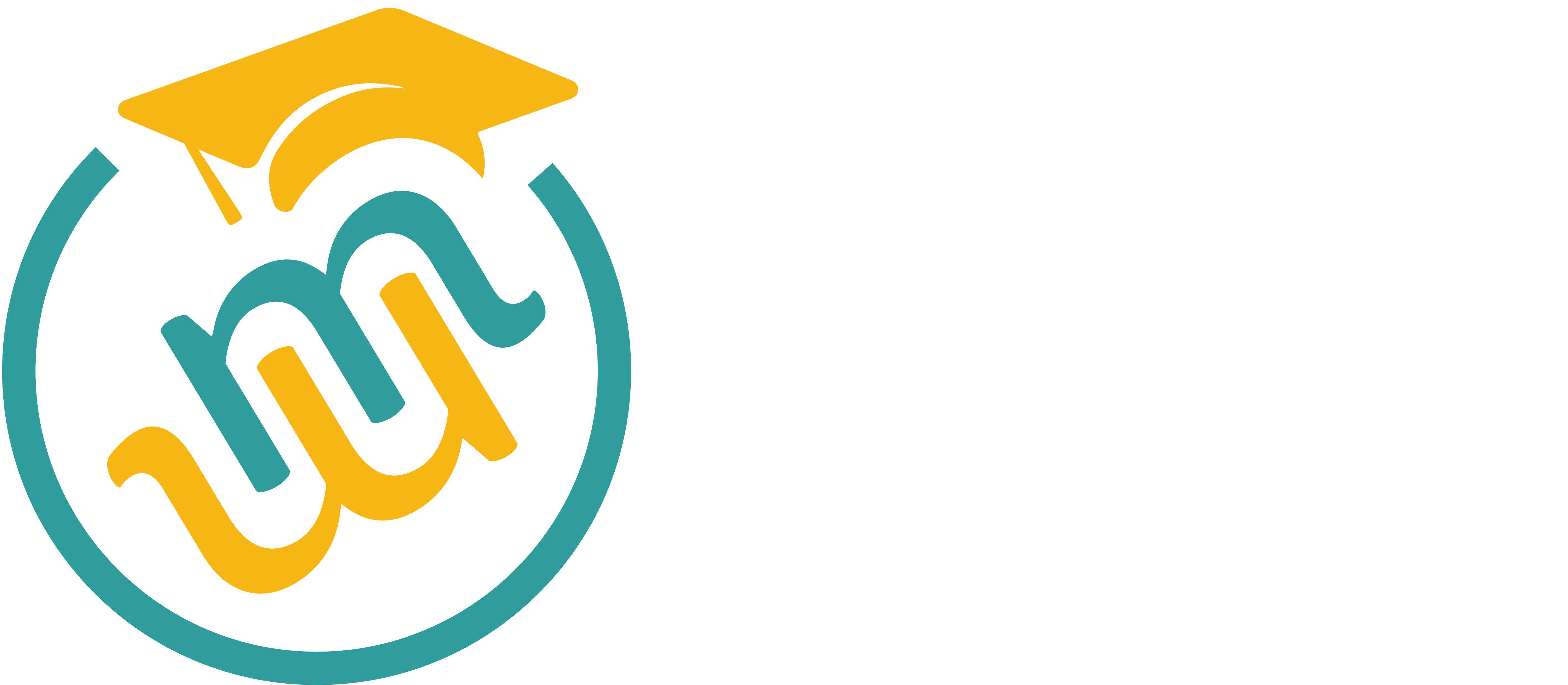 Adaptive LMS Logo